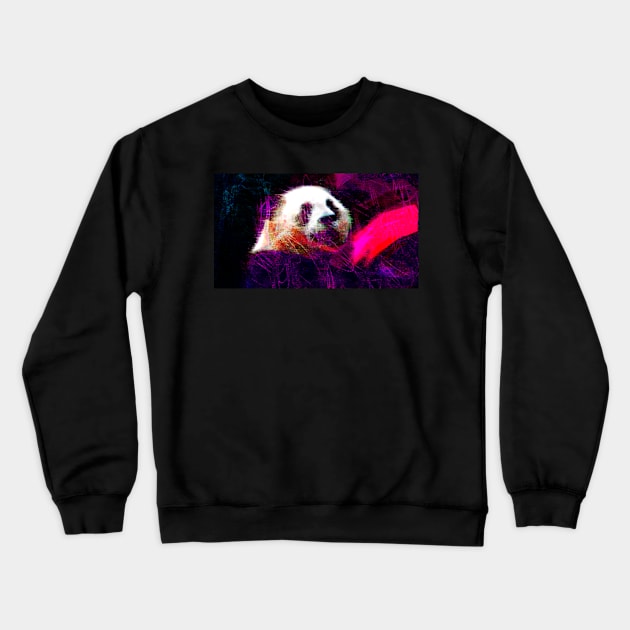 PandaPanda Crewneck Sweatshirt by AndrewMarkovits